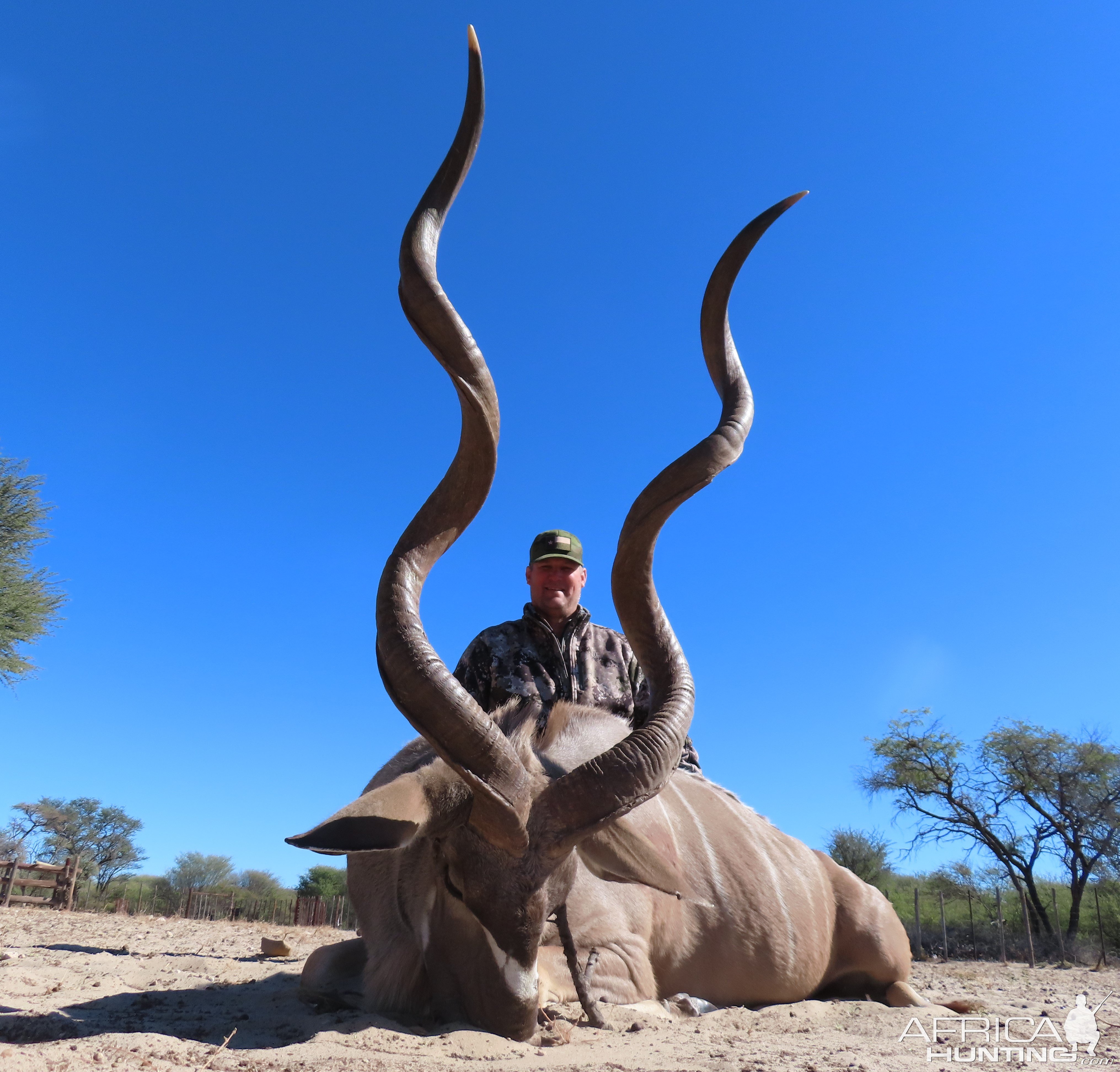 Kudu Hunt Botswana