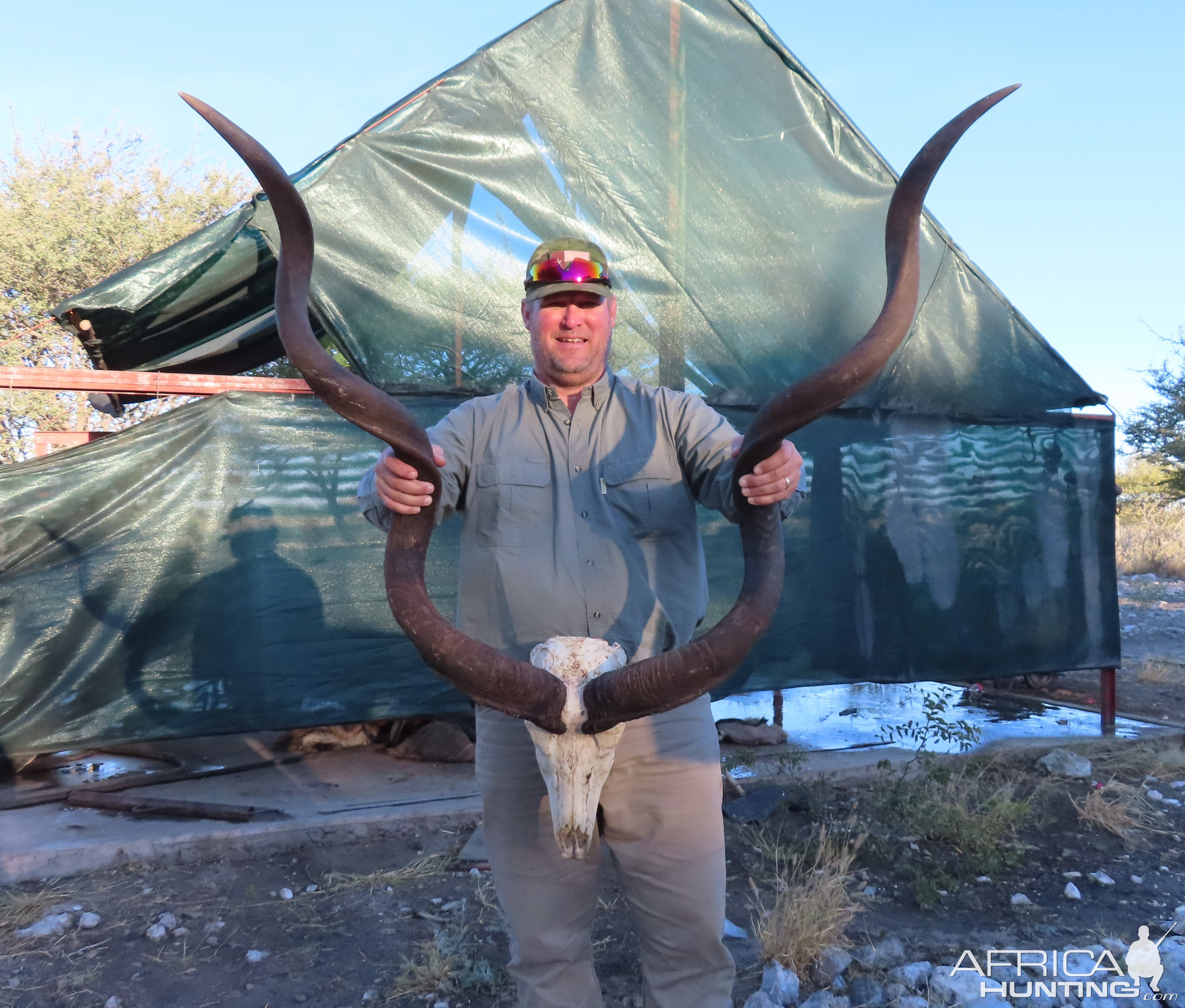 Kudu Hunt Botswana