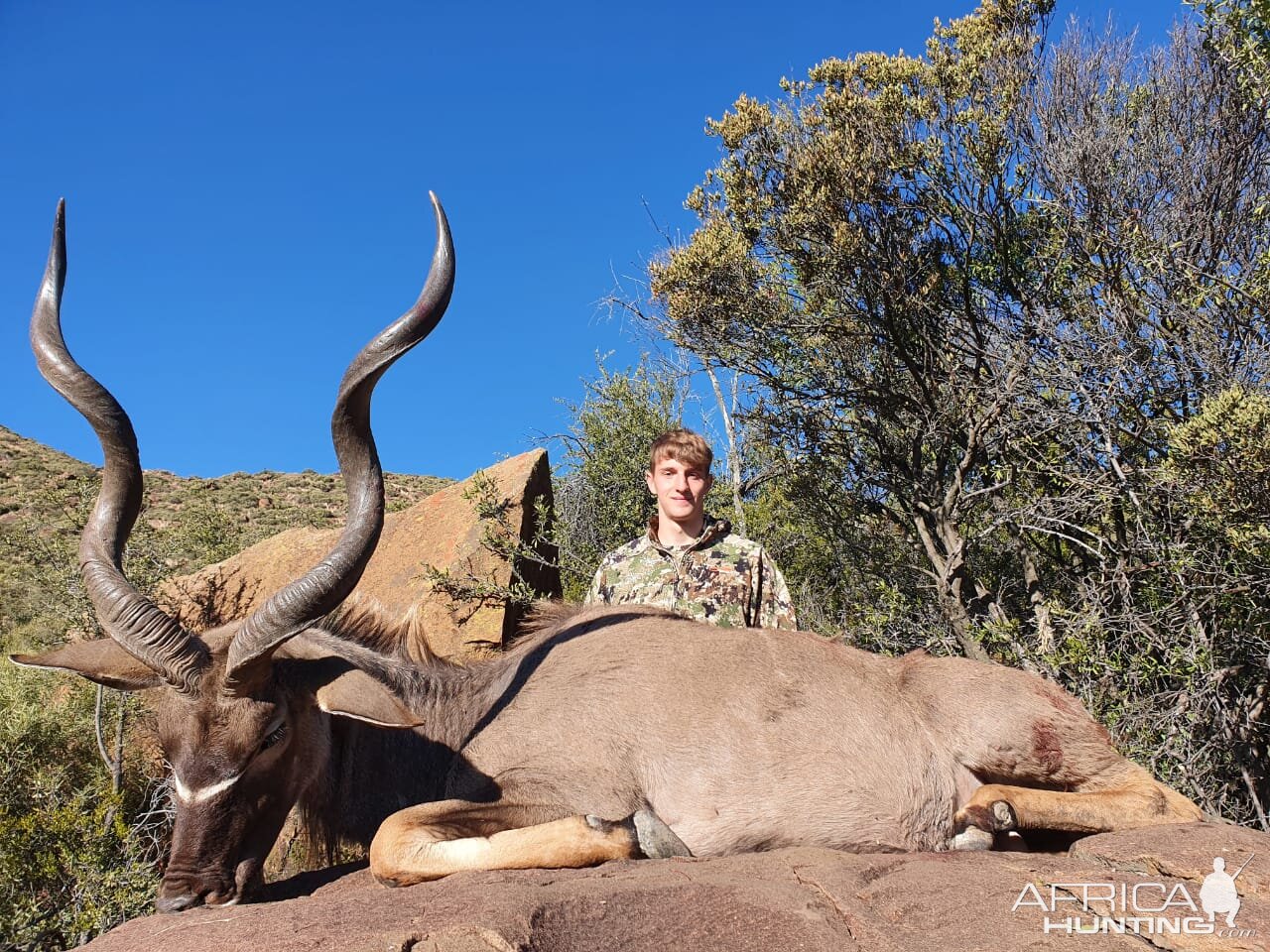 Kudu Hunt Eastern Cape South Africa