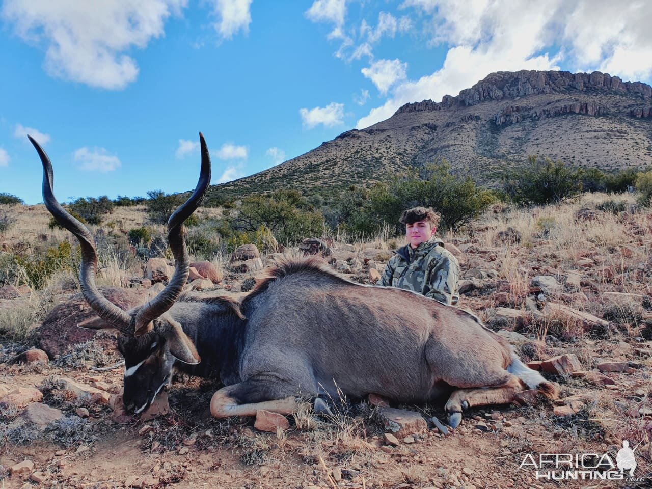 Kudu Hunt Eastern Cape South Africa