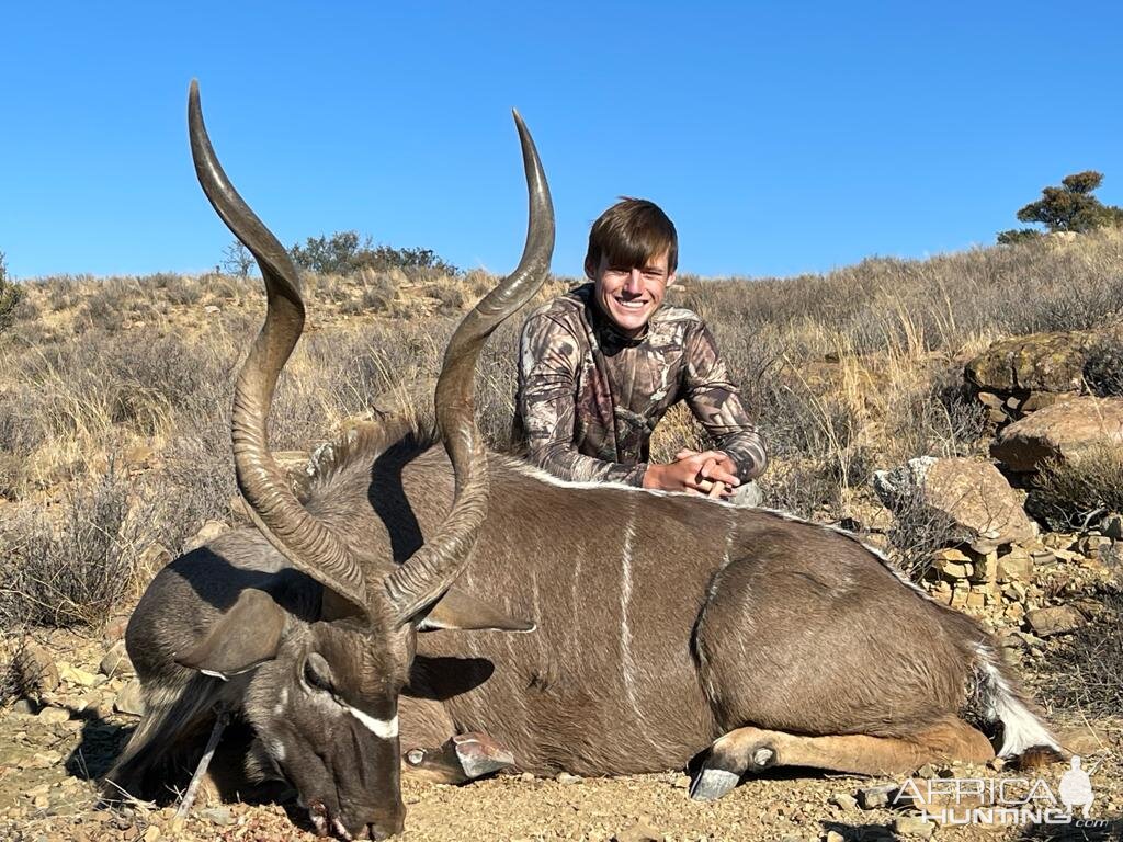 Kudu Hunt Eastern Cape South Africa