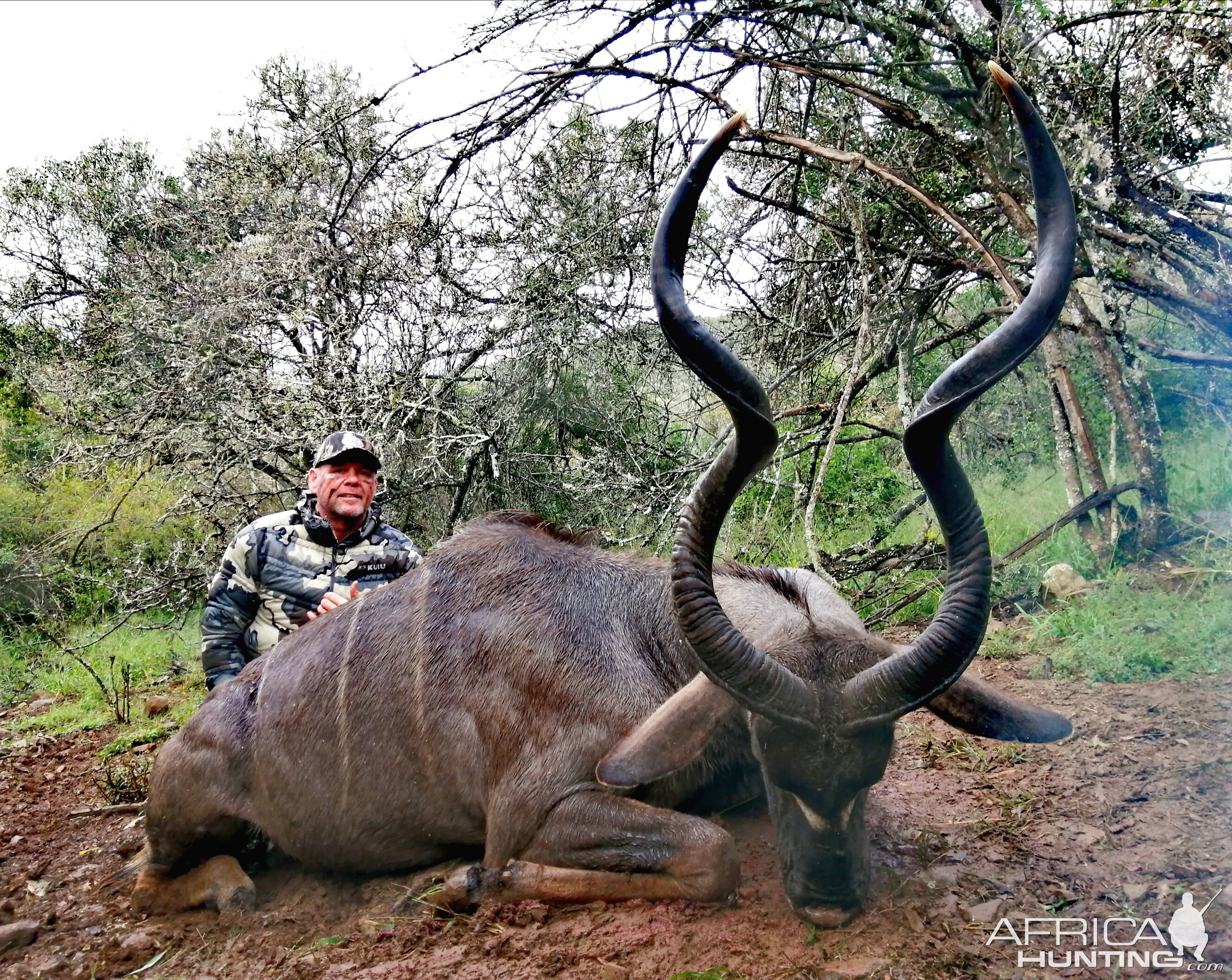 Kudu Hunt Eastern Cape South Africa