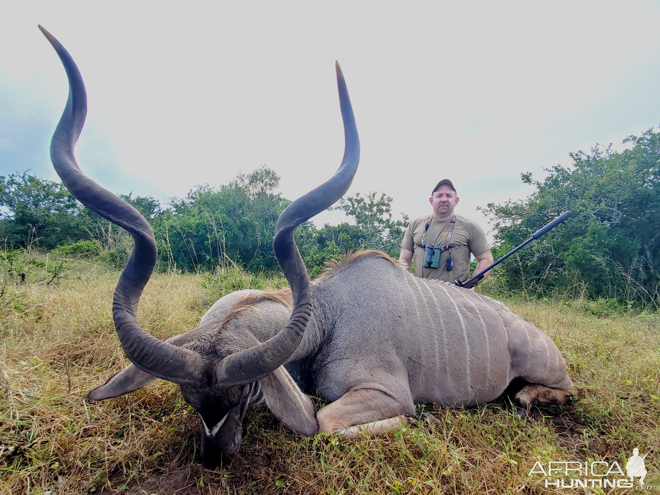 Kudu Hunt Eastern Cape South Africa