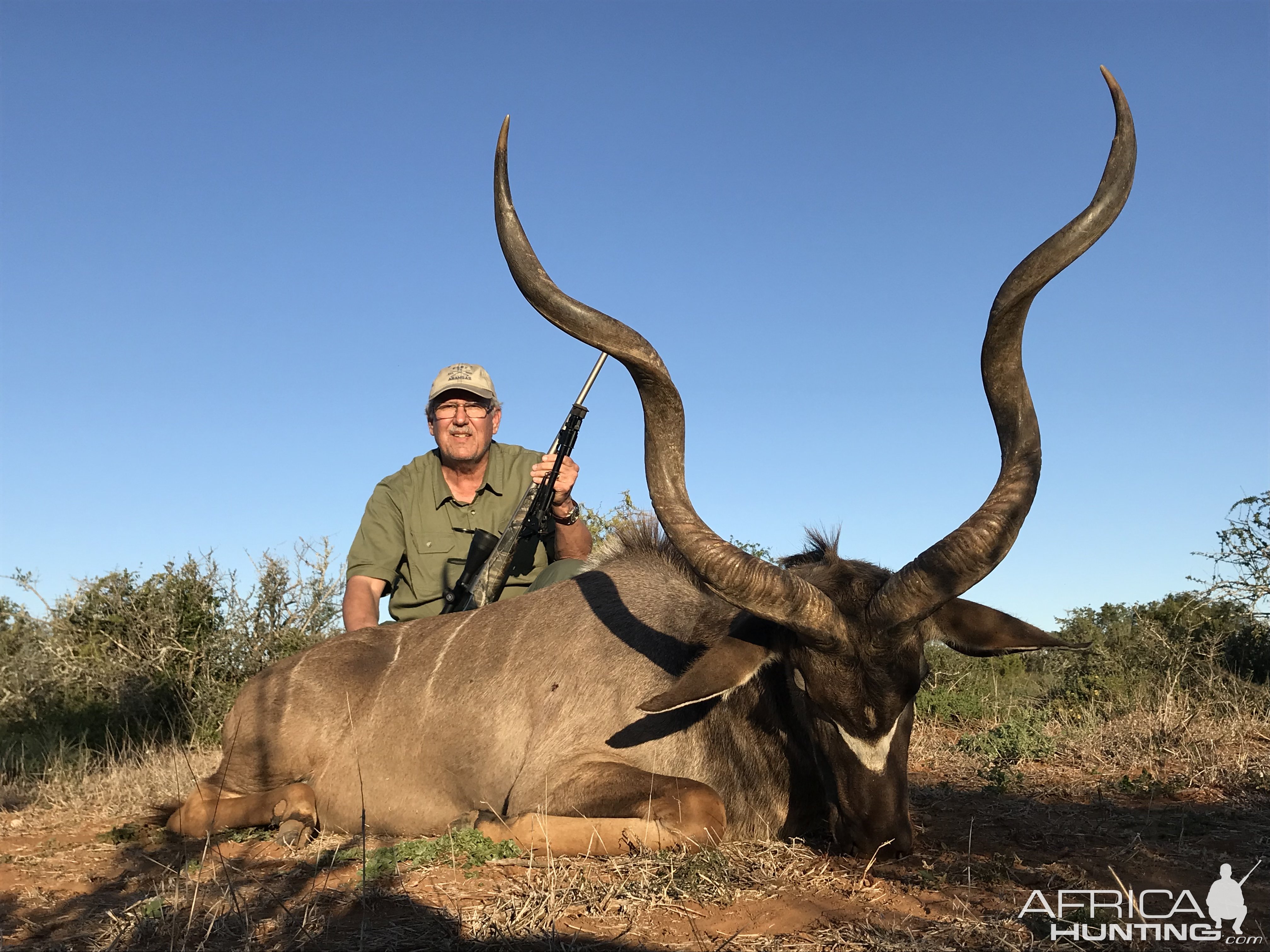 Kudu Hunt Eastern Cape South Africa