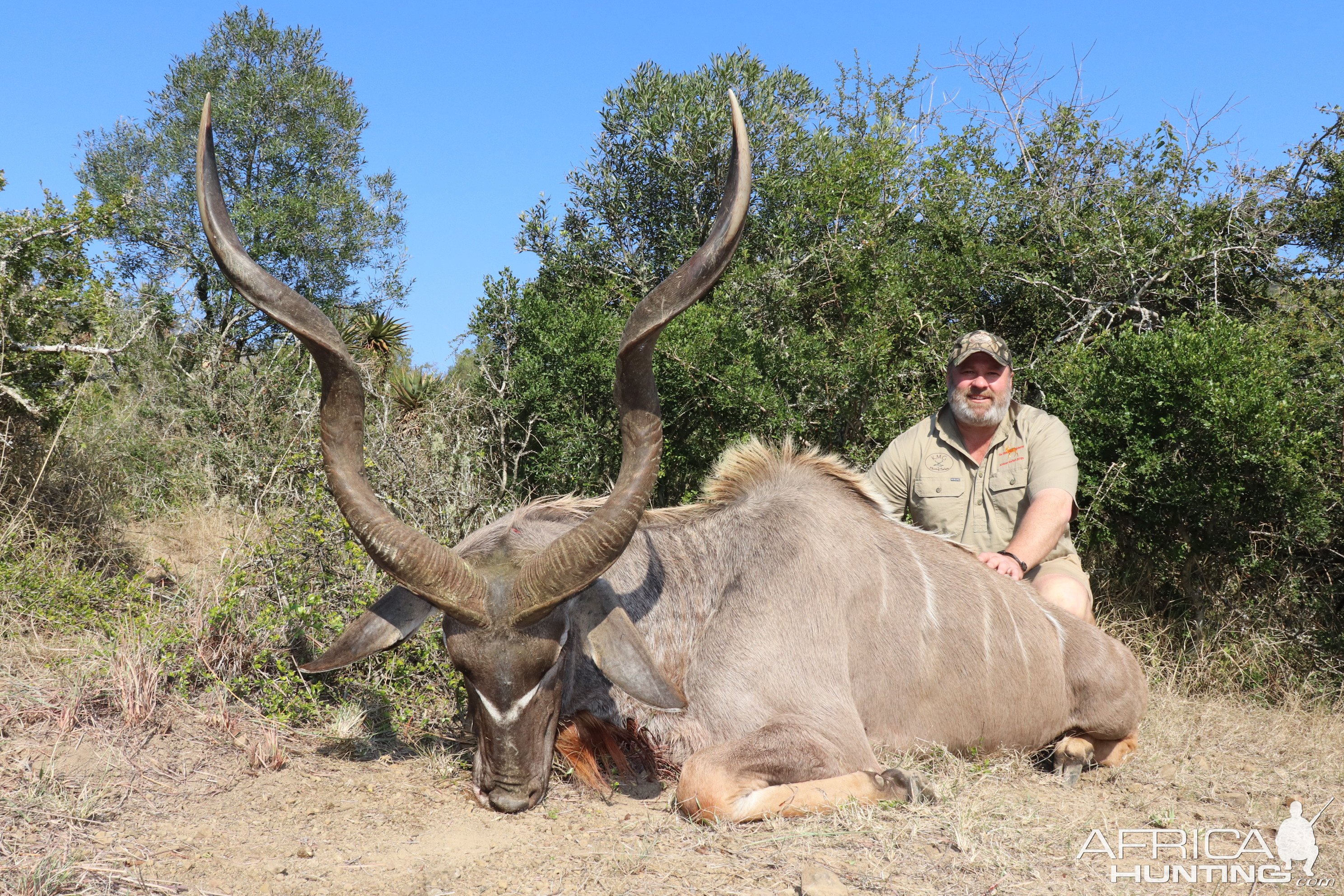 Kudu Hunt Eastern Cape SOuth Africa