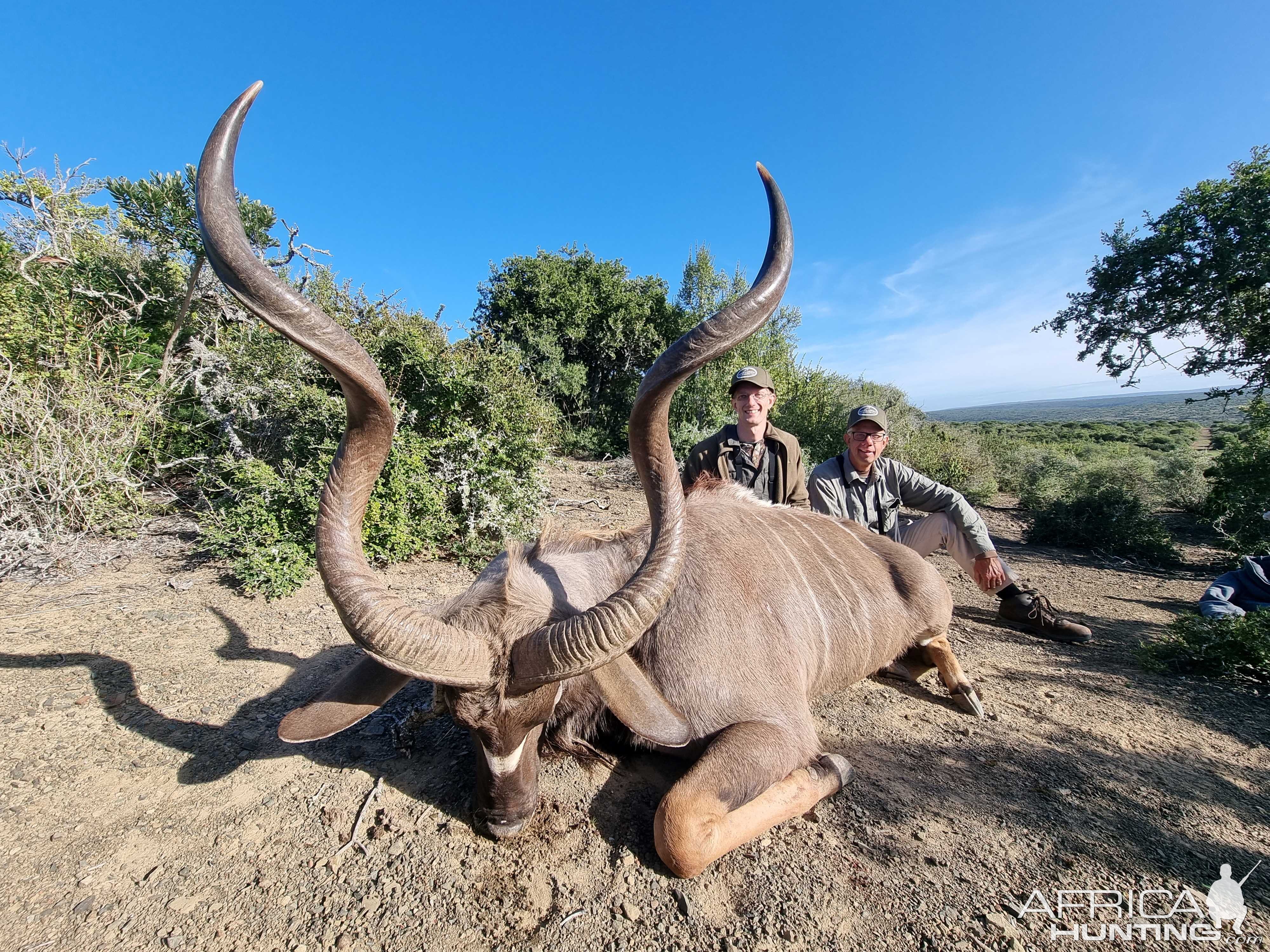 Kudu Hunt Eastern Cape South Africa