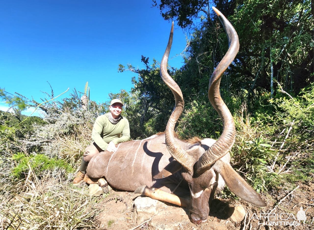 Kudu Hunt Eastern Cape South Africa