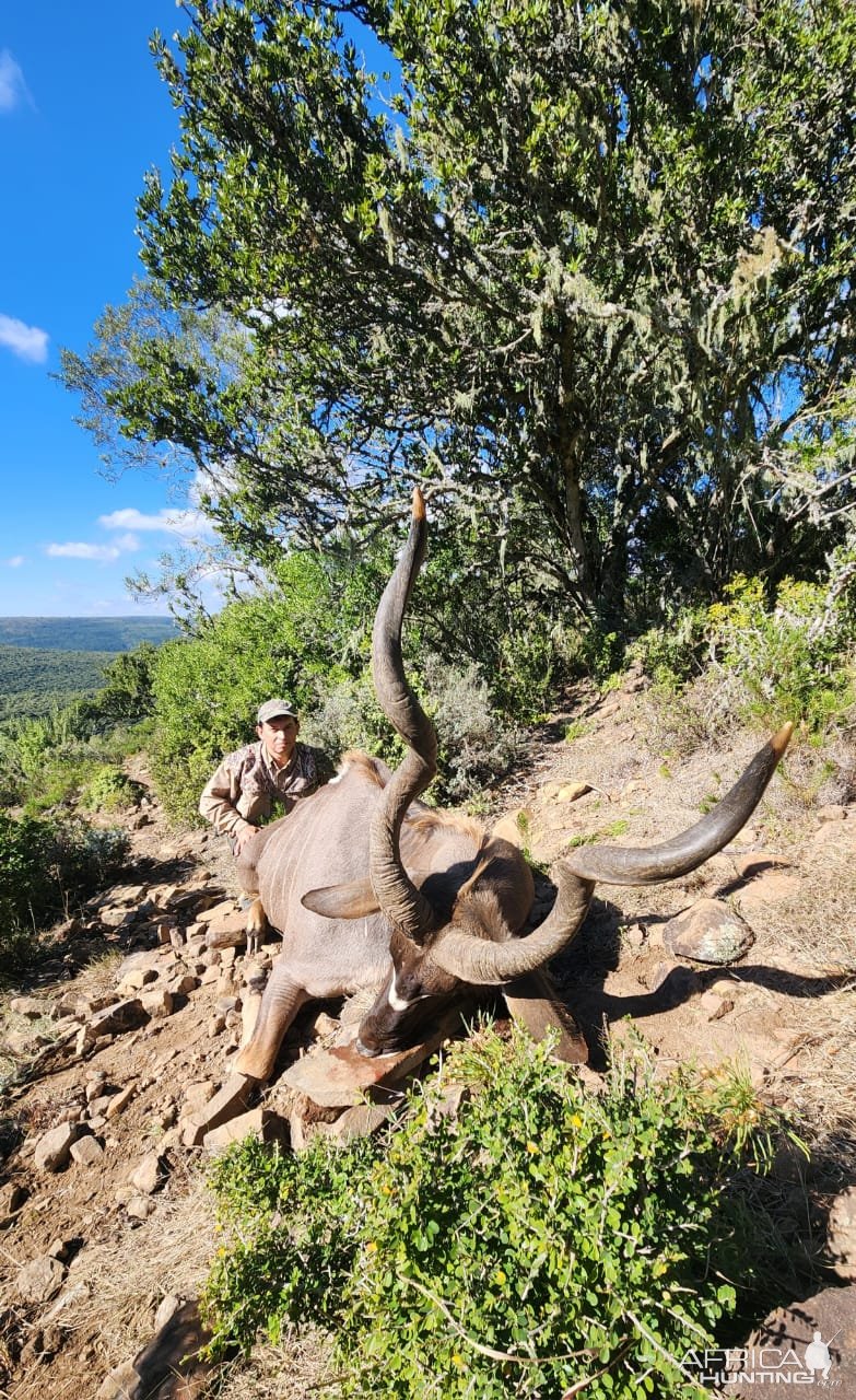 Kudu Hunt Eastern Cape South Africa