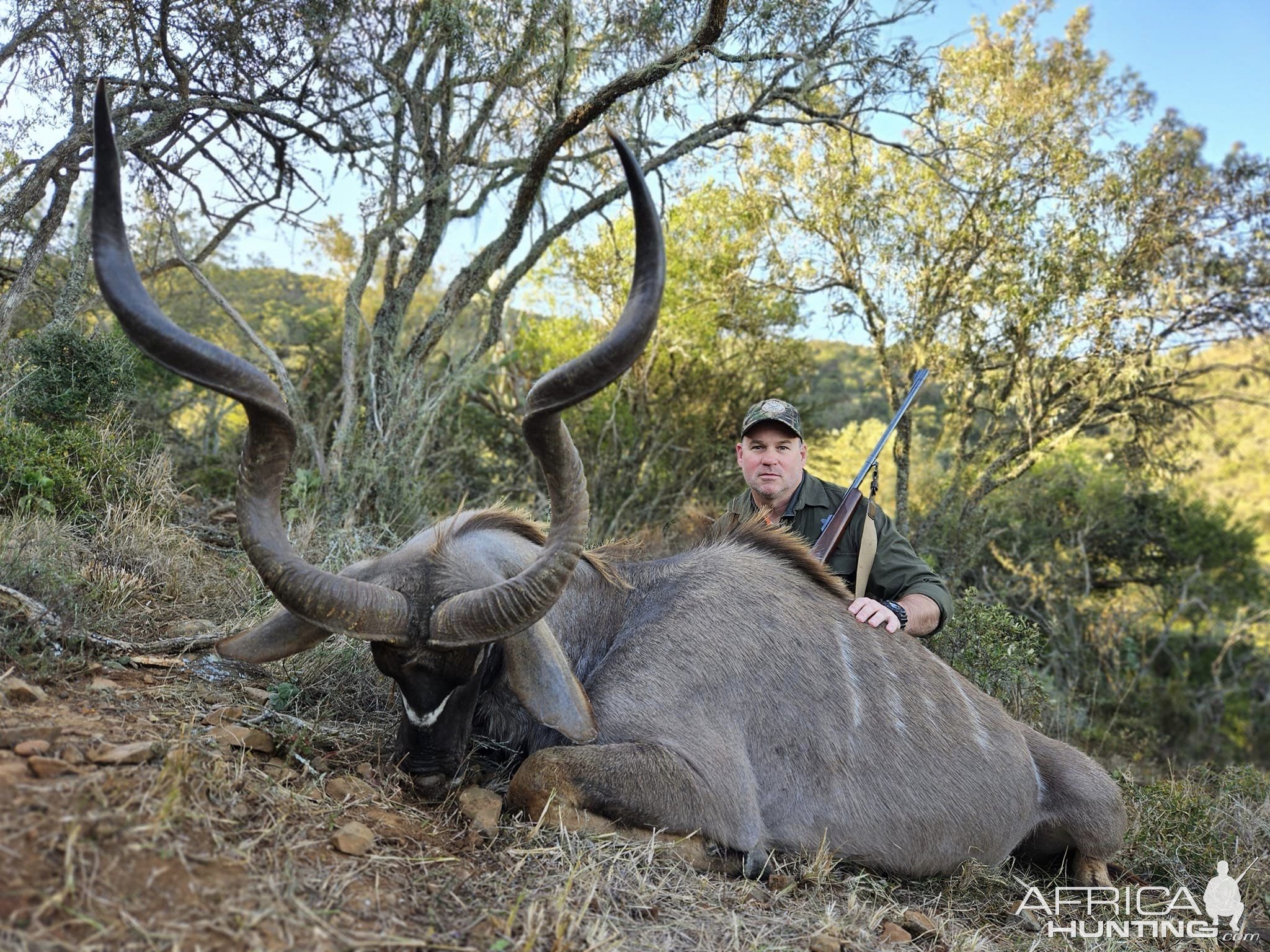 Kudu Hunt Eastern Cape South Africa