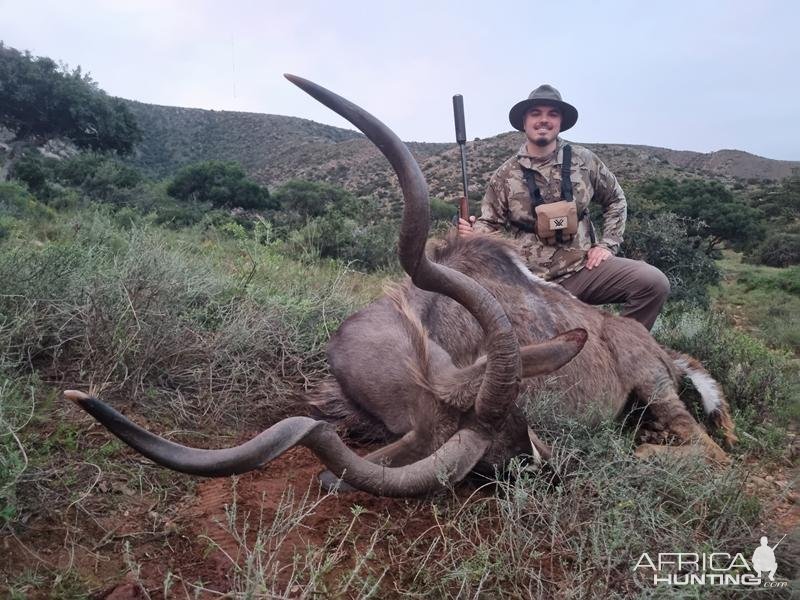 Kudu Hunt Eastern Cape South Africa