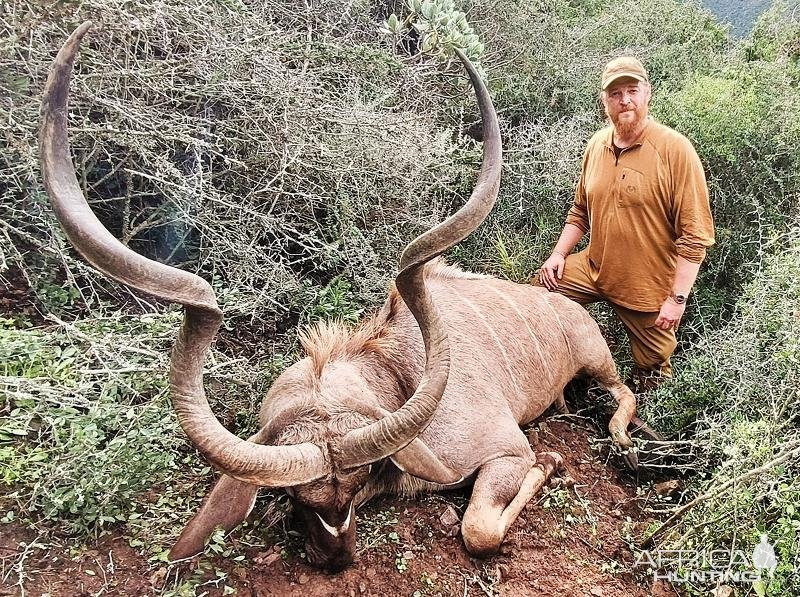 Kudu Hunt Eastern Cape South Africa