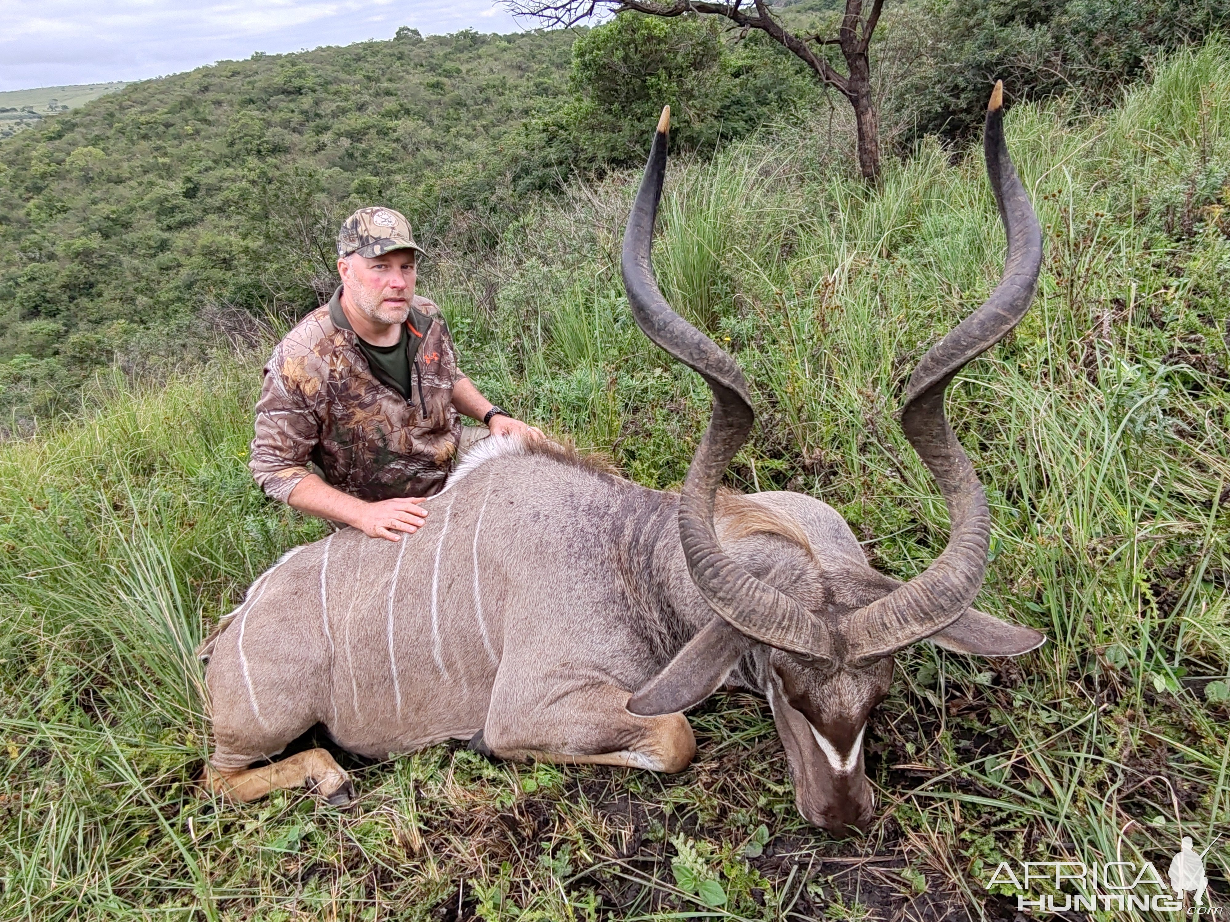 Kudu Hunt Eastern Cape South Africa