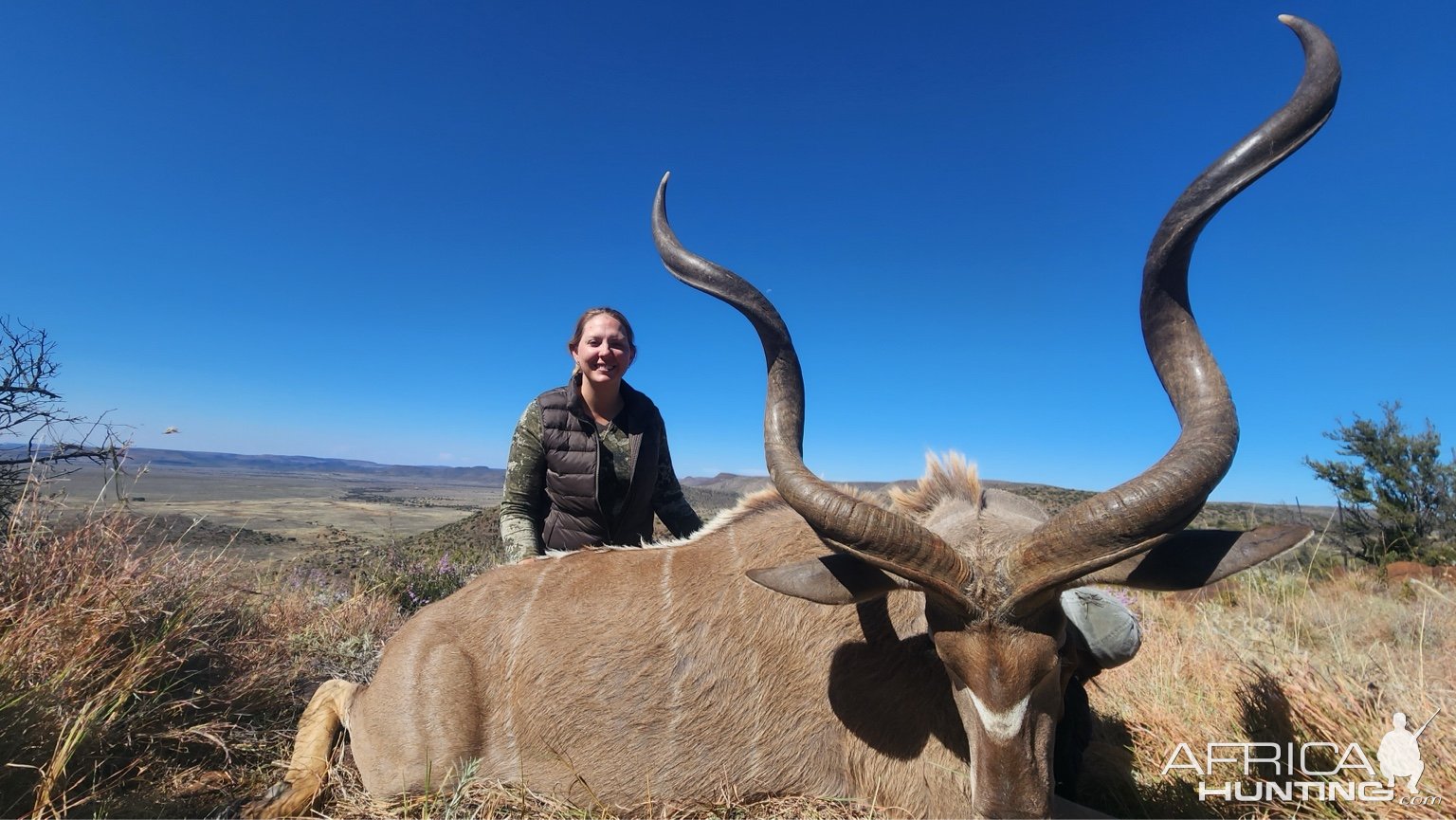 Kudu Hunt Free State South Africa