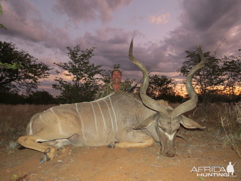 Kudu Hunt in Namibia