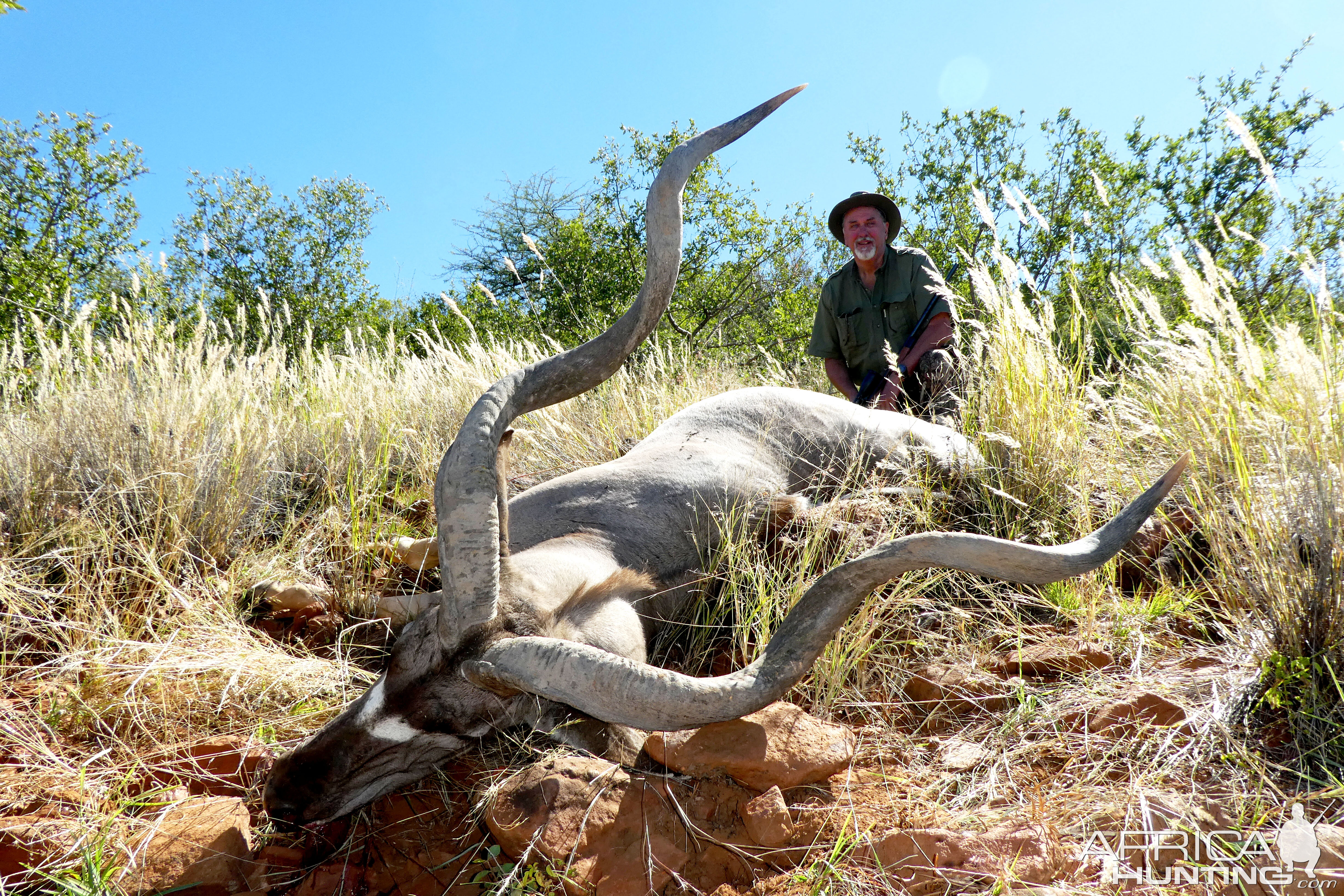 Kudu Hunt in Namibia