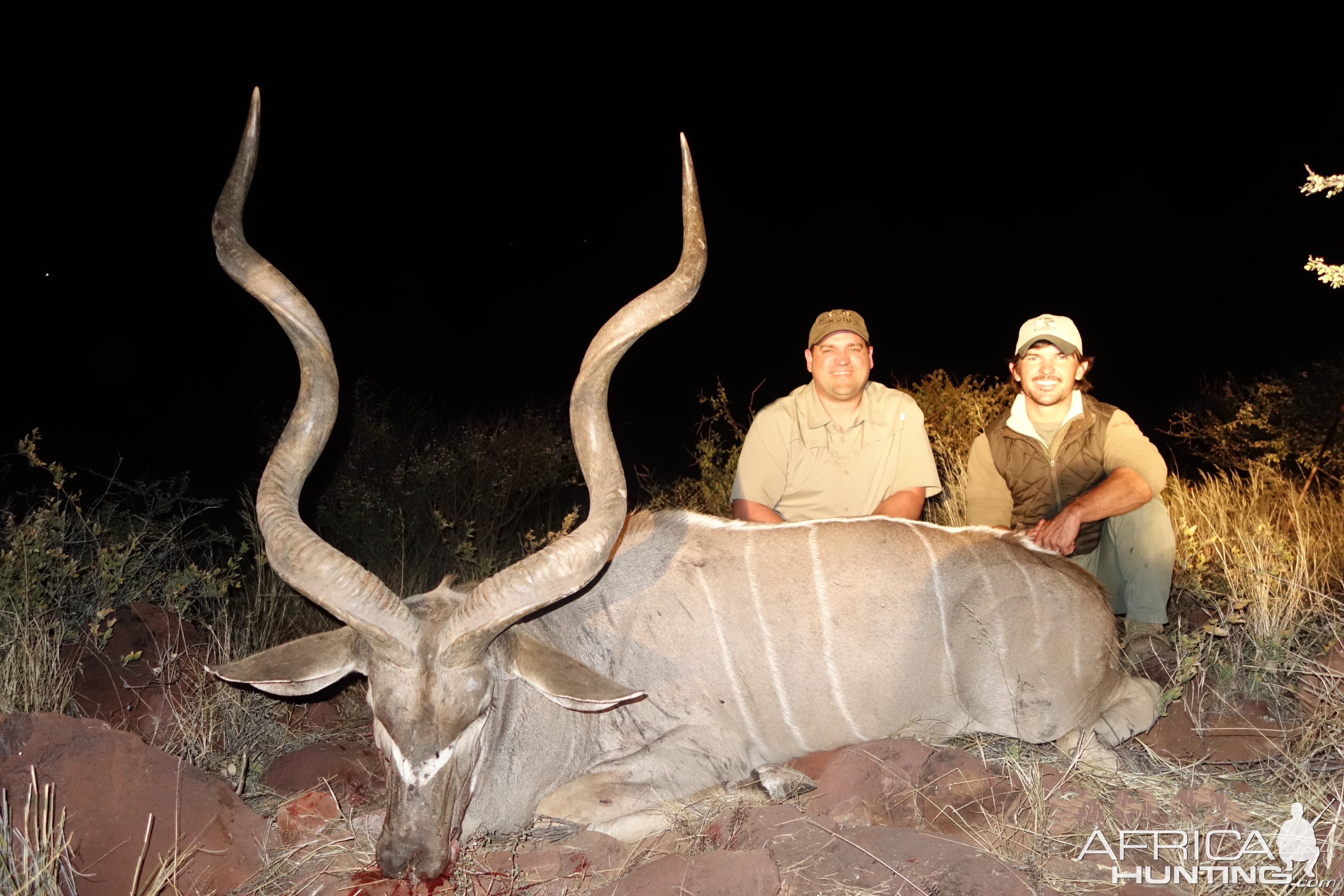 Kudu Hunt in Namibia