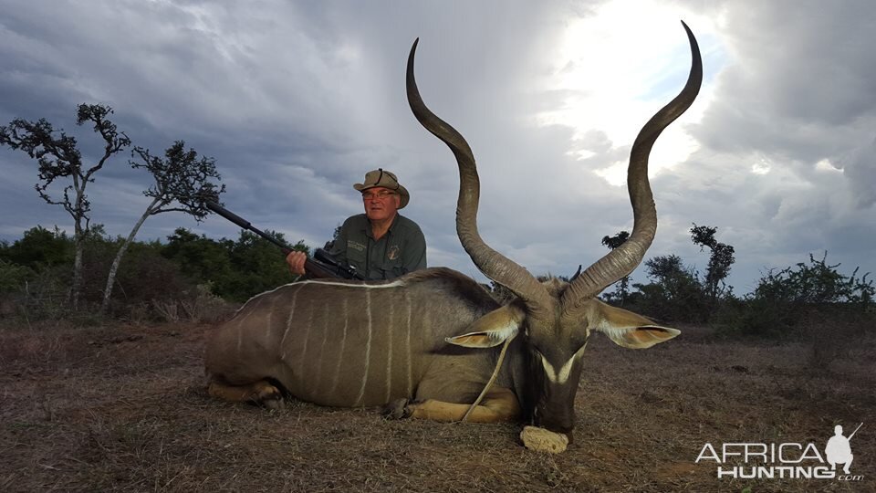 Kudu Hunt in South Africa