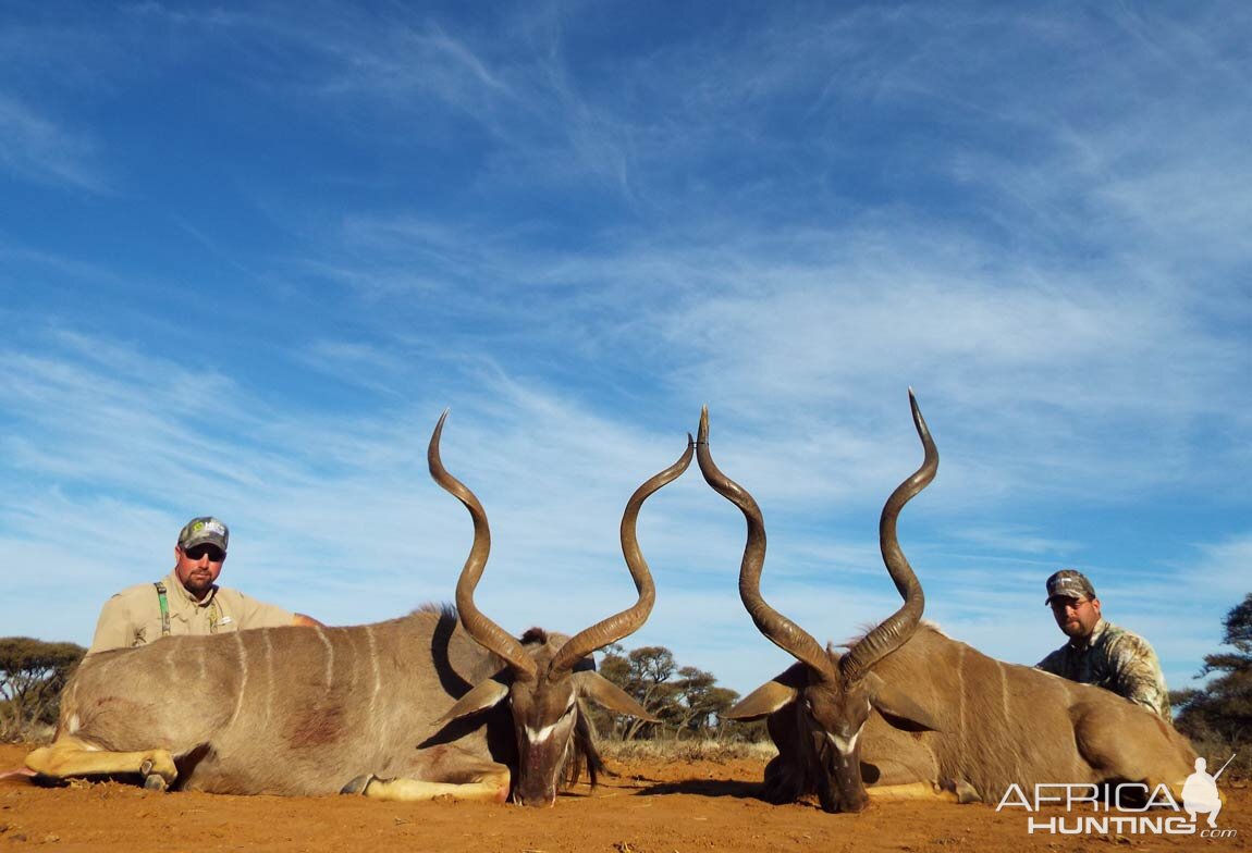 Kudu Hunt in South Africa