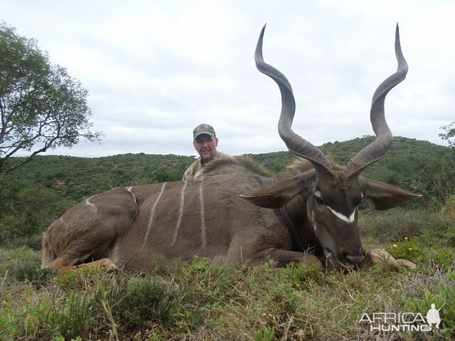 Kudu Hunt in South Africa