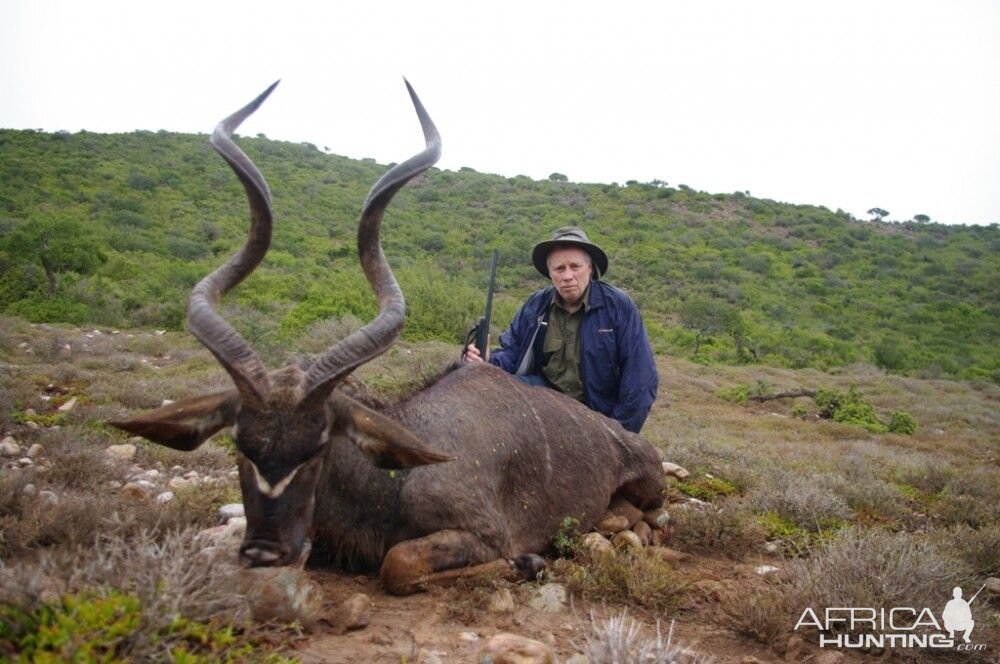 Kudu Hunt in South Africa