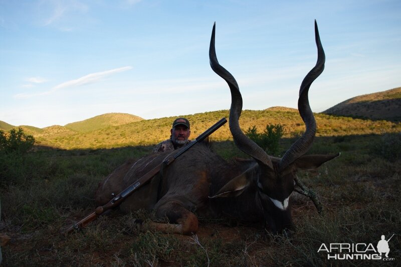 Kudu Hunt in South Africa