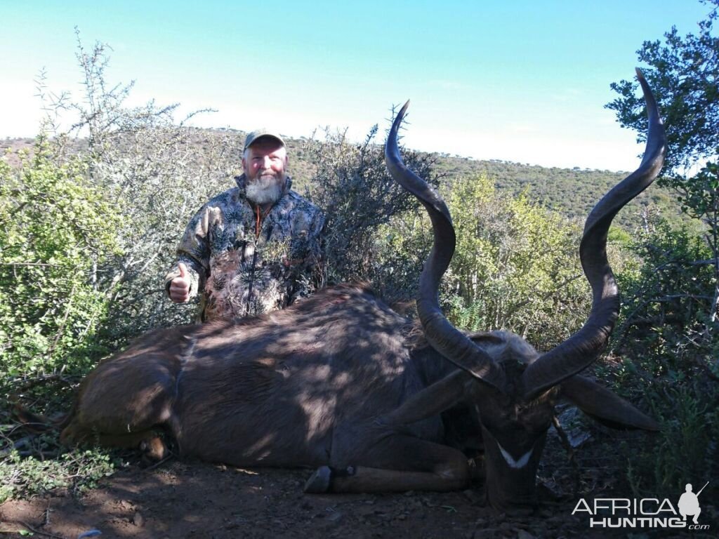 Kudu Hunt in South Africa