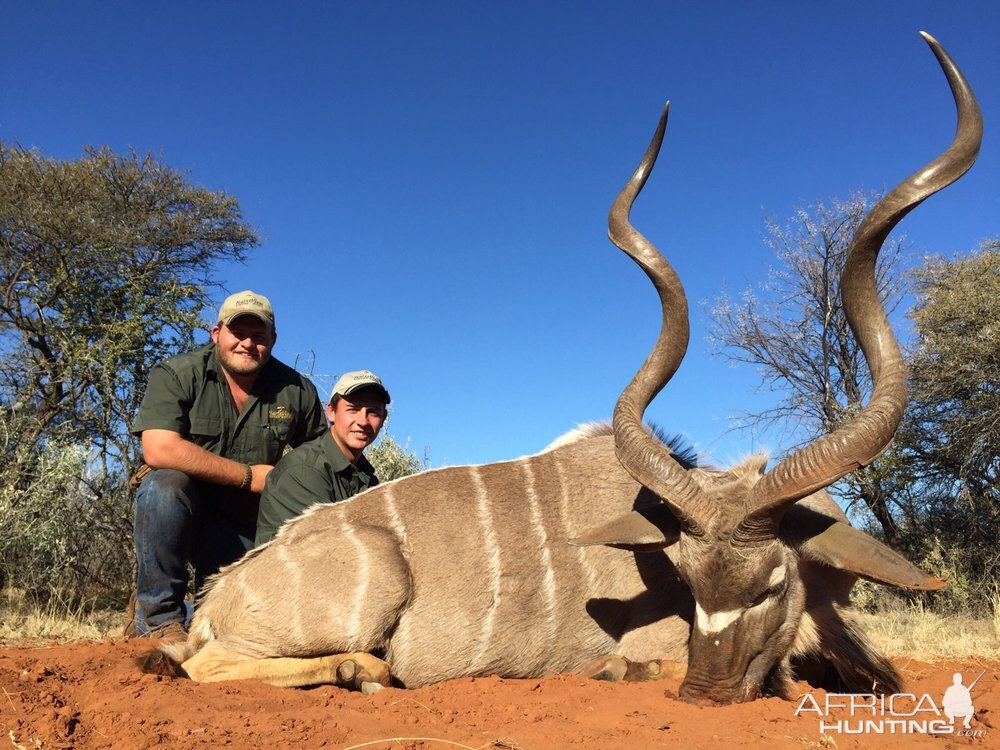 Kudu Hunt in South Africa