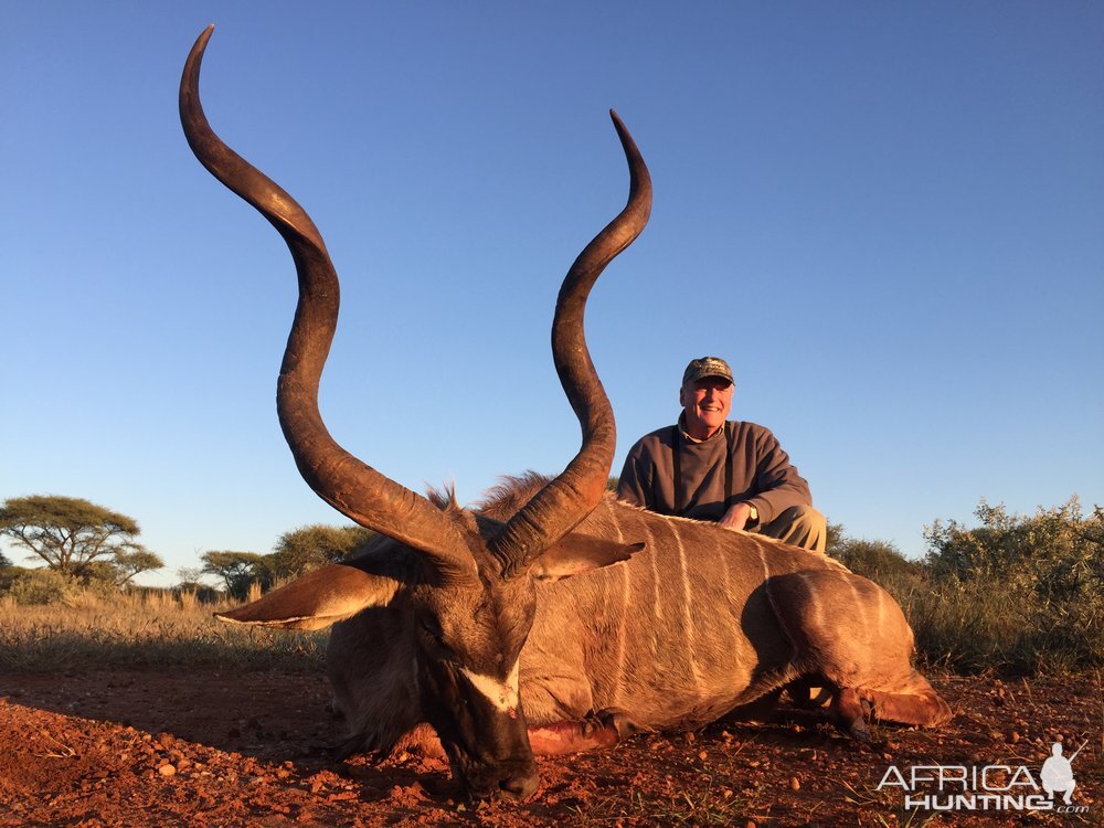 Kudu Hunt in South Africa