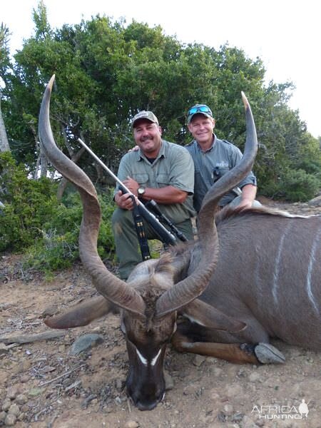 Kudu Hunt in South Africa