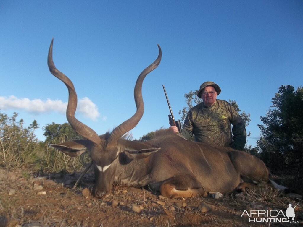 Kudu Hunt in South Africa