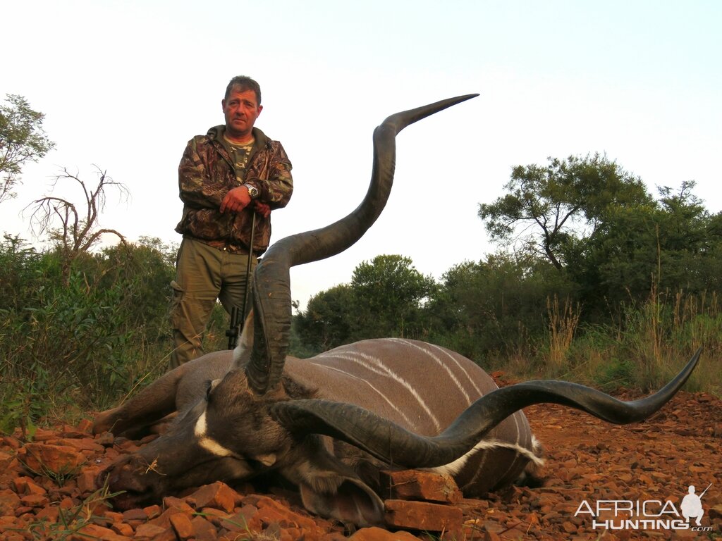 Kudu Hunt in South Africa