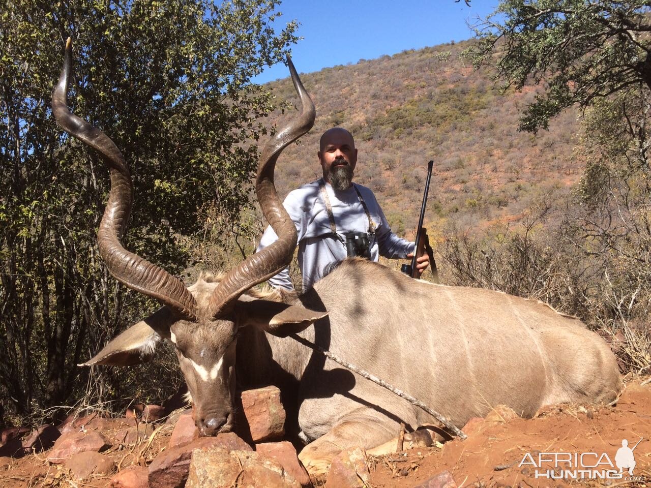 Kudu Hunt in South Africa