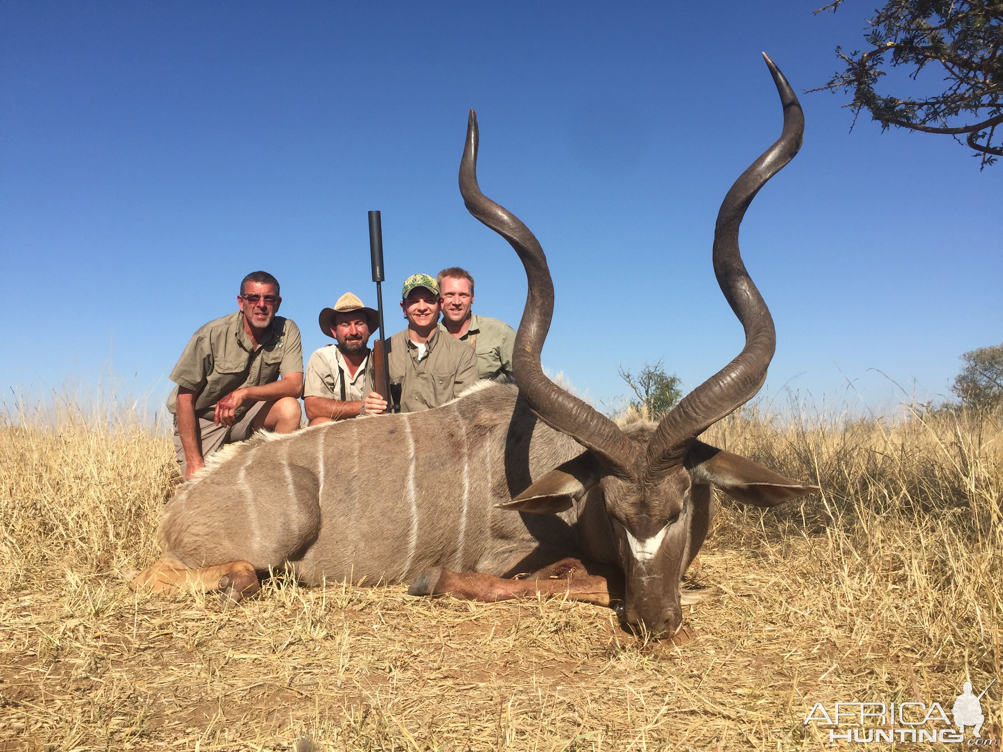 Kudu Hunt in South Africa