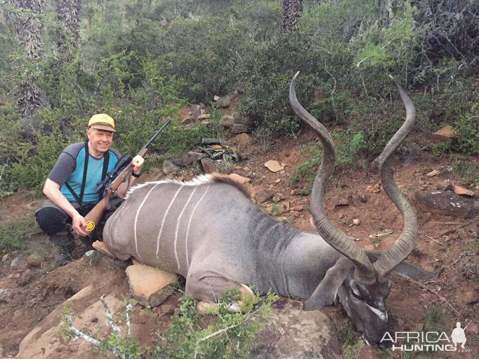 Kudu Hunt in South Africa