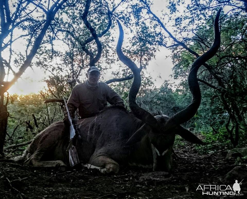 Kudu Hunt in South Africa