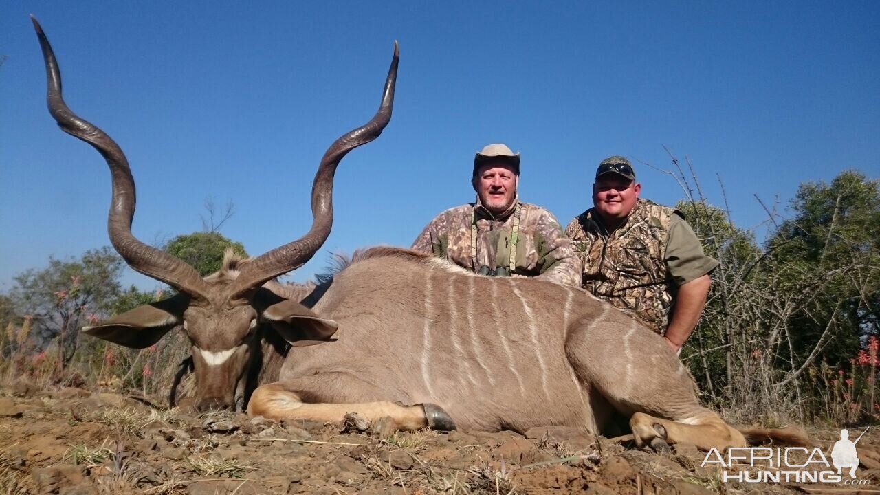 Kudu Hunt in South Africa