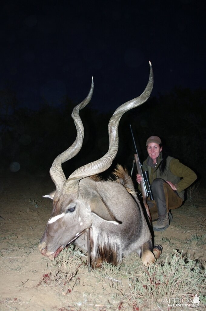 Kudu Hunt in South Africa