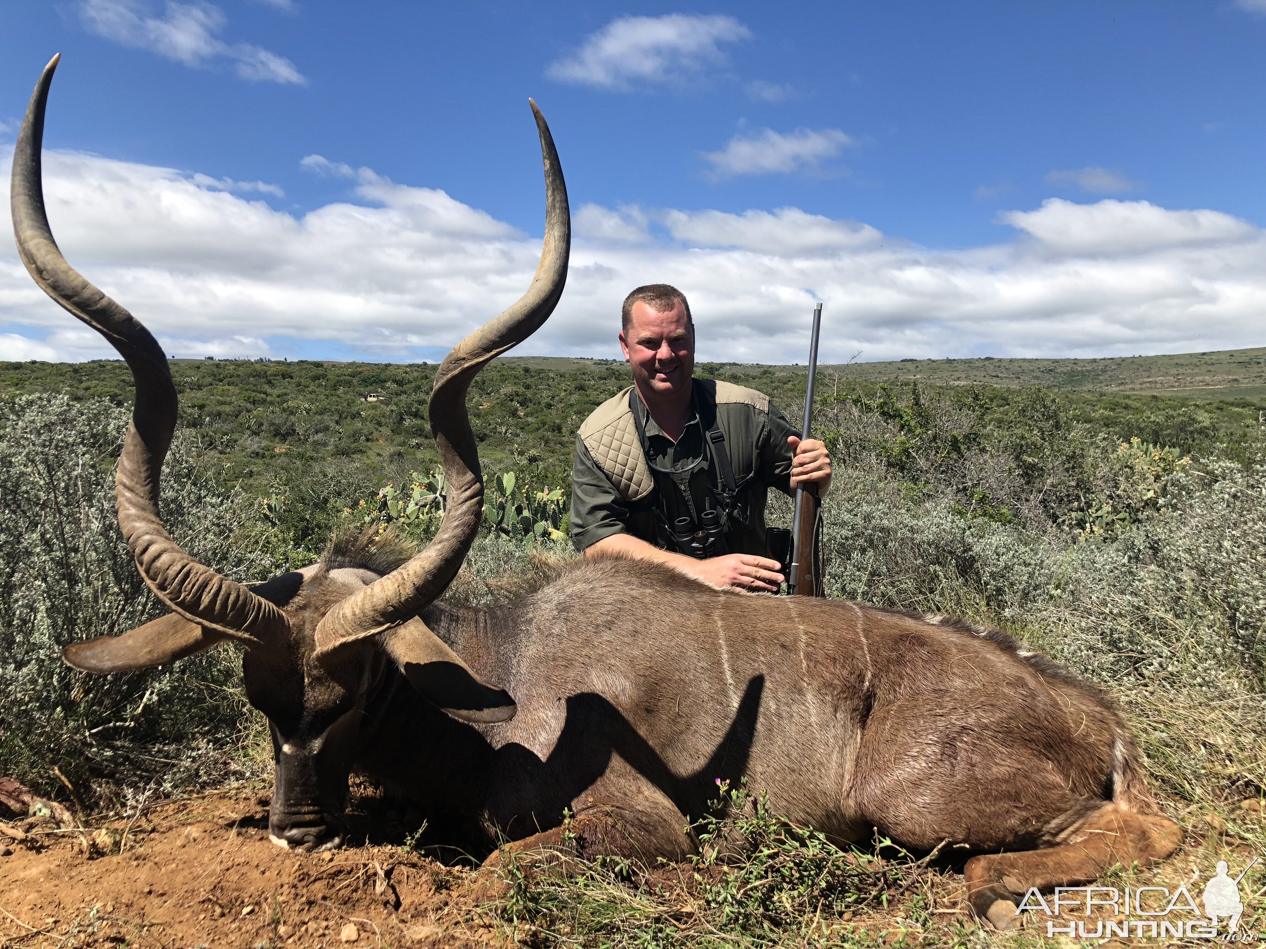 Kudu Hunt in South Africa