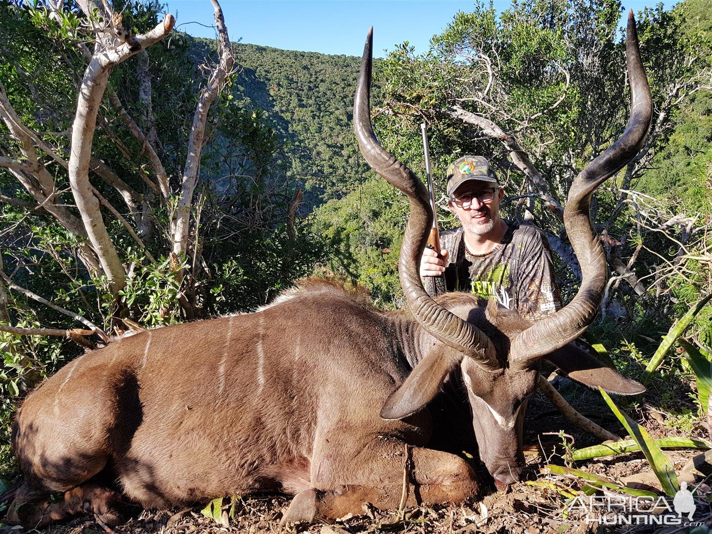 Kudu Hunt in South Africa