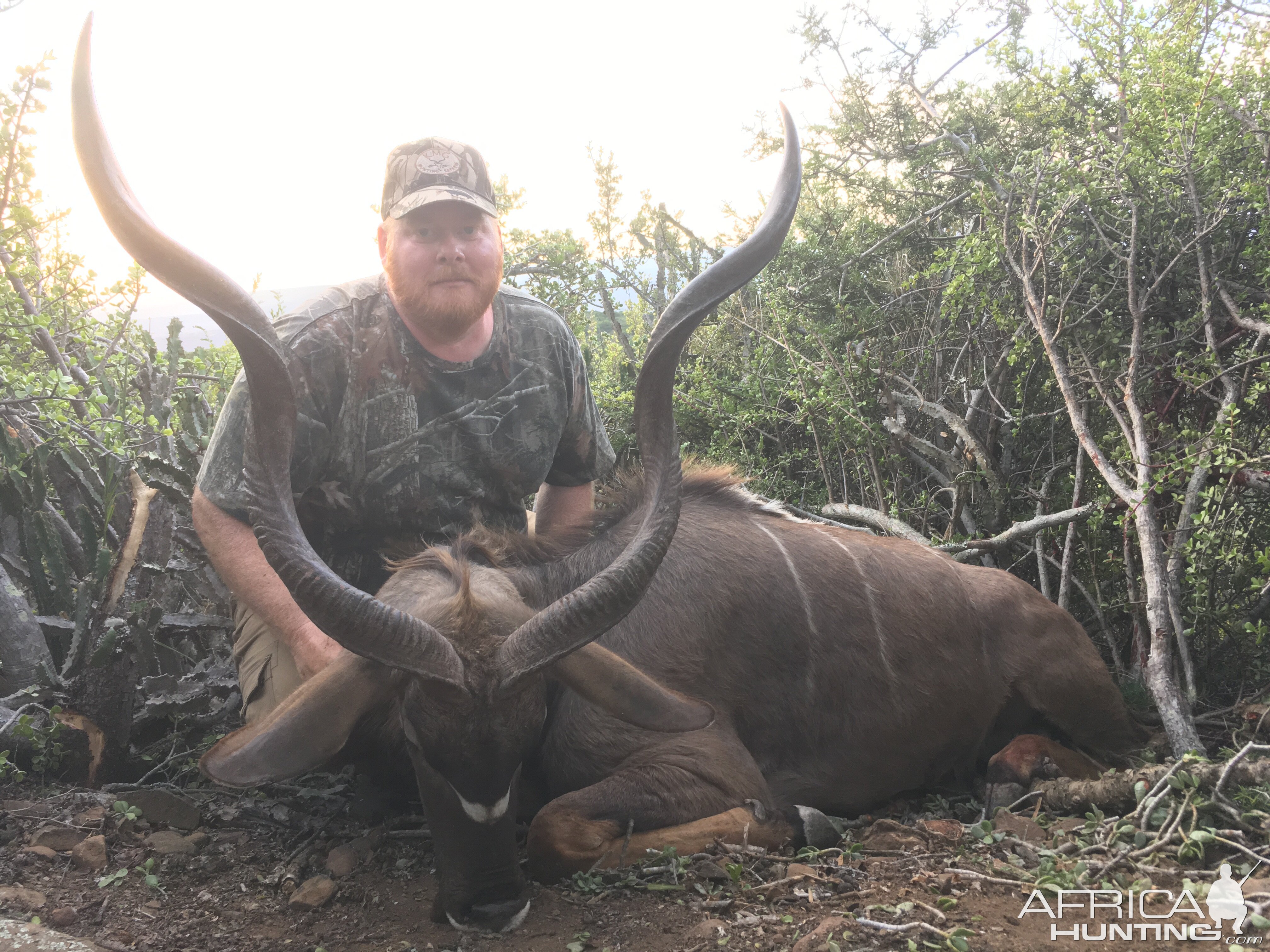 Kudu Hunt in South Africa