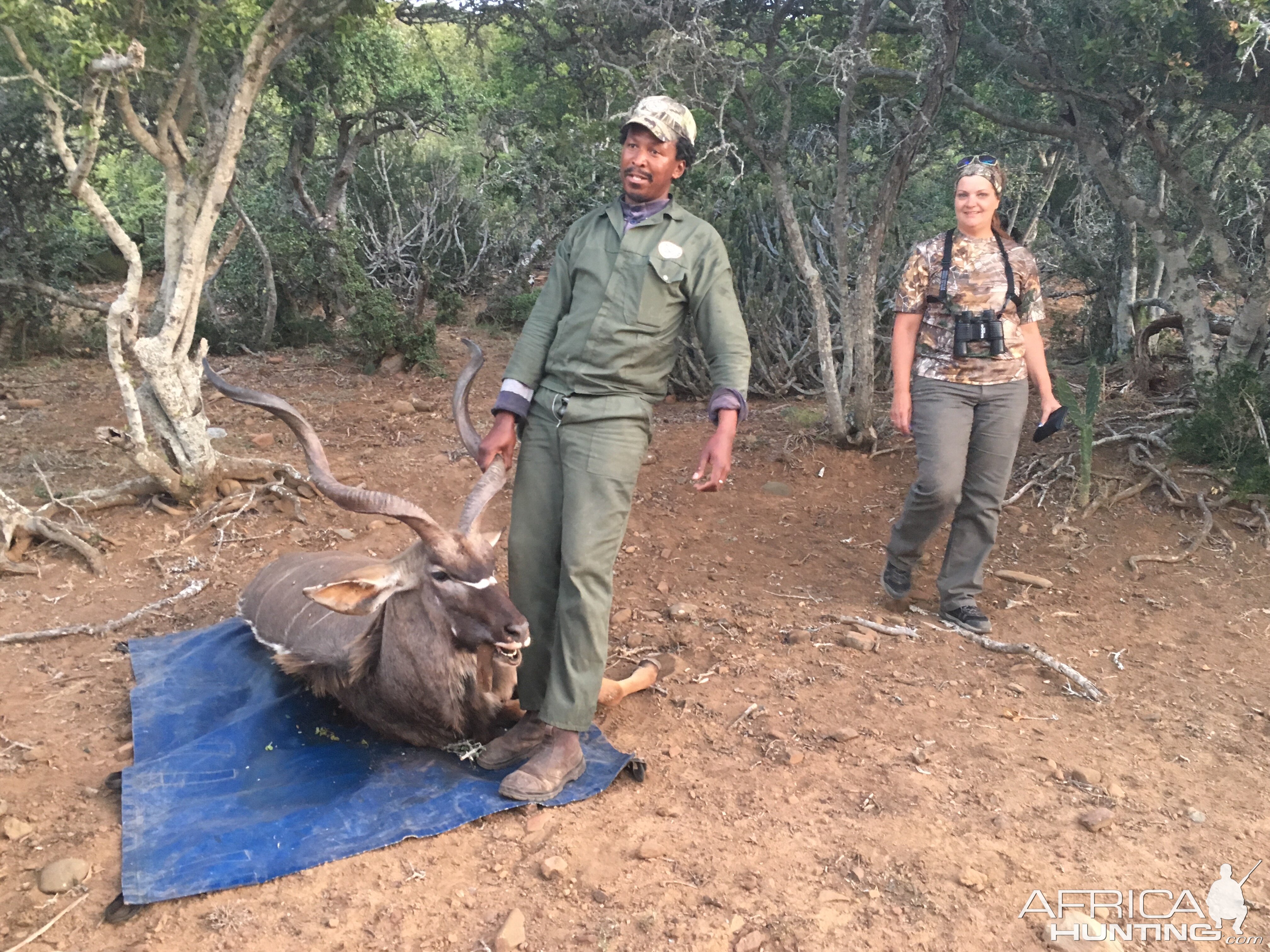 Kudu Hunt in South Africa