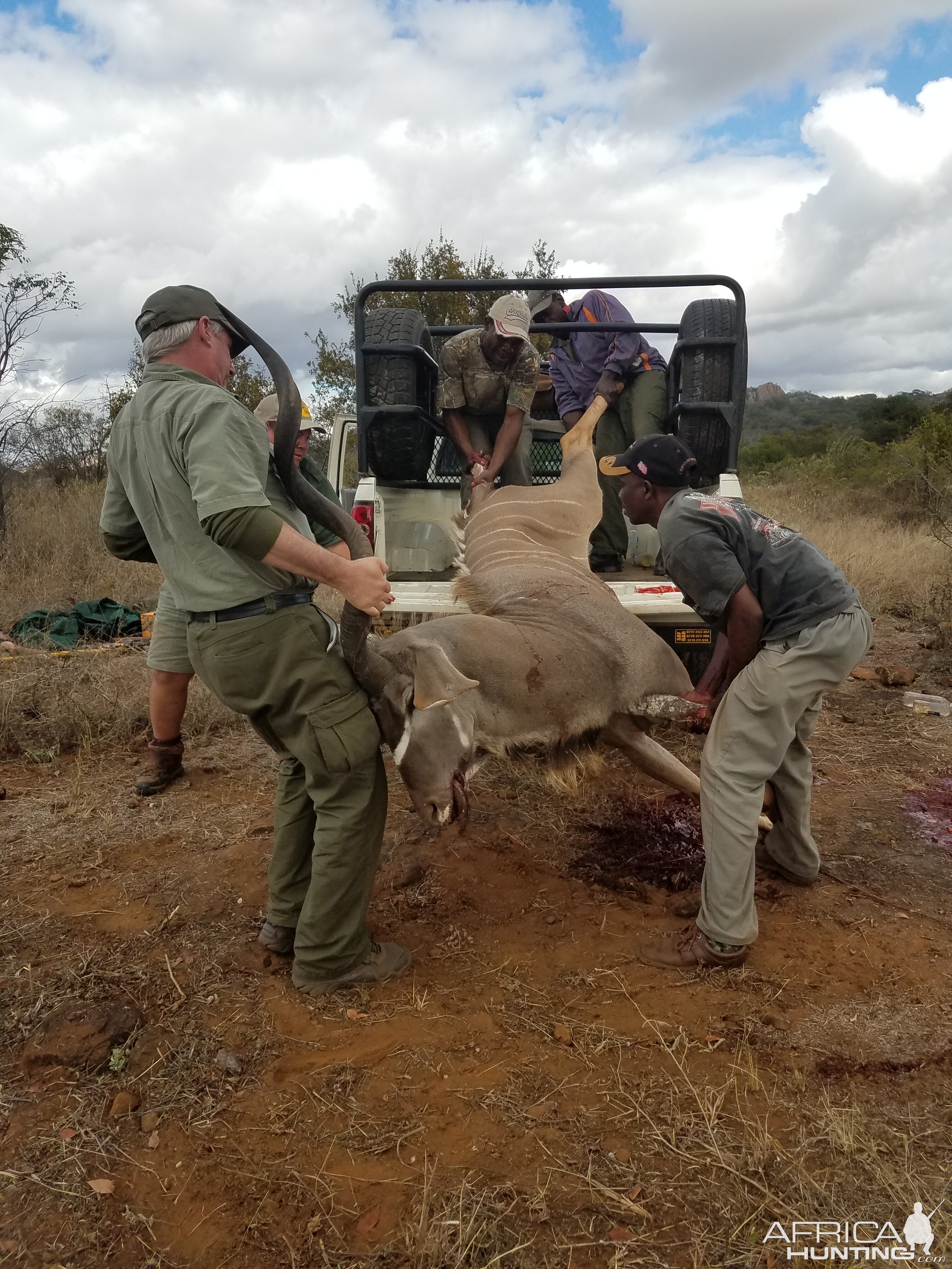 Kudu Hunt in Zimbabwe