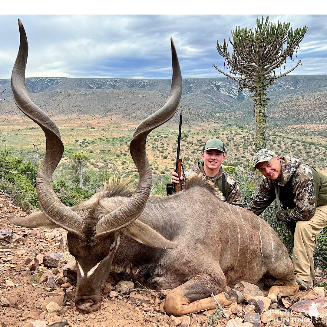 Kudu Hunt Karoo Region South Africa