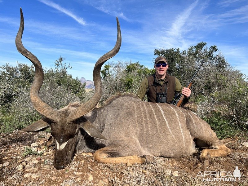 Kudu Hunt Karoo South Africa