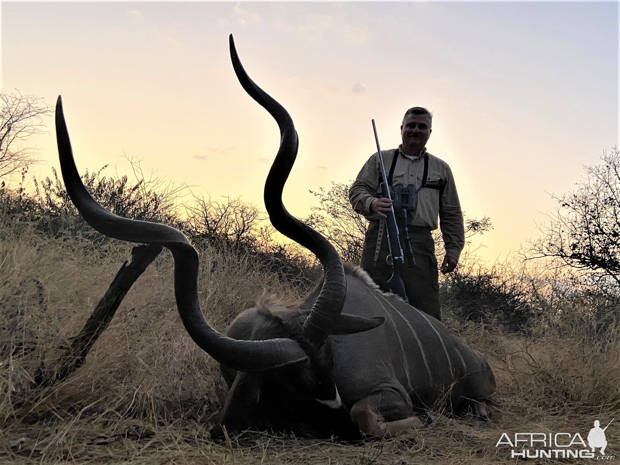 Kudu Hunt Kruger Park South Africa