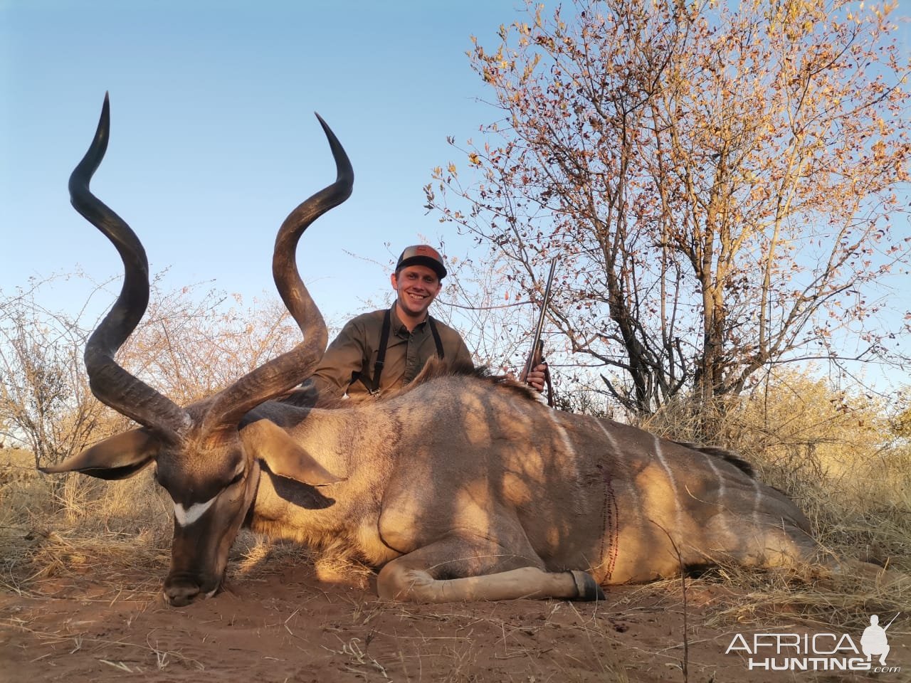 Kudu Hunt Limpopo South Africa