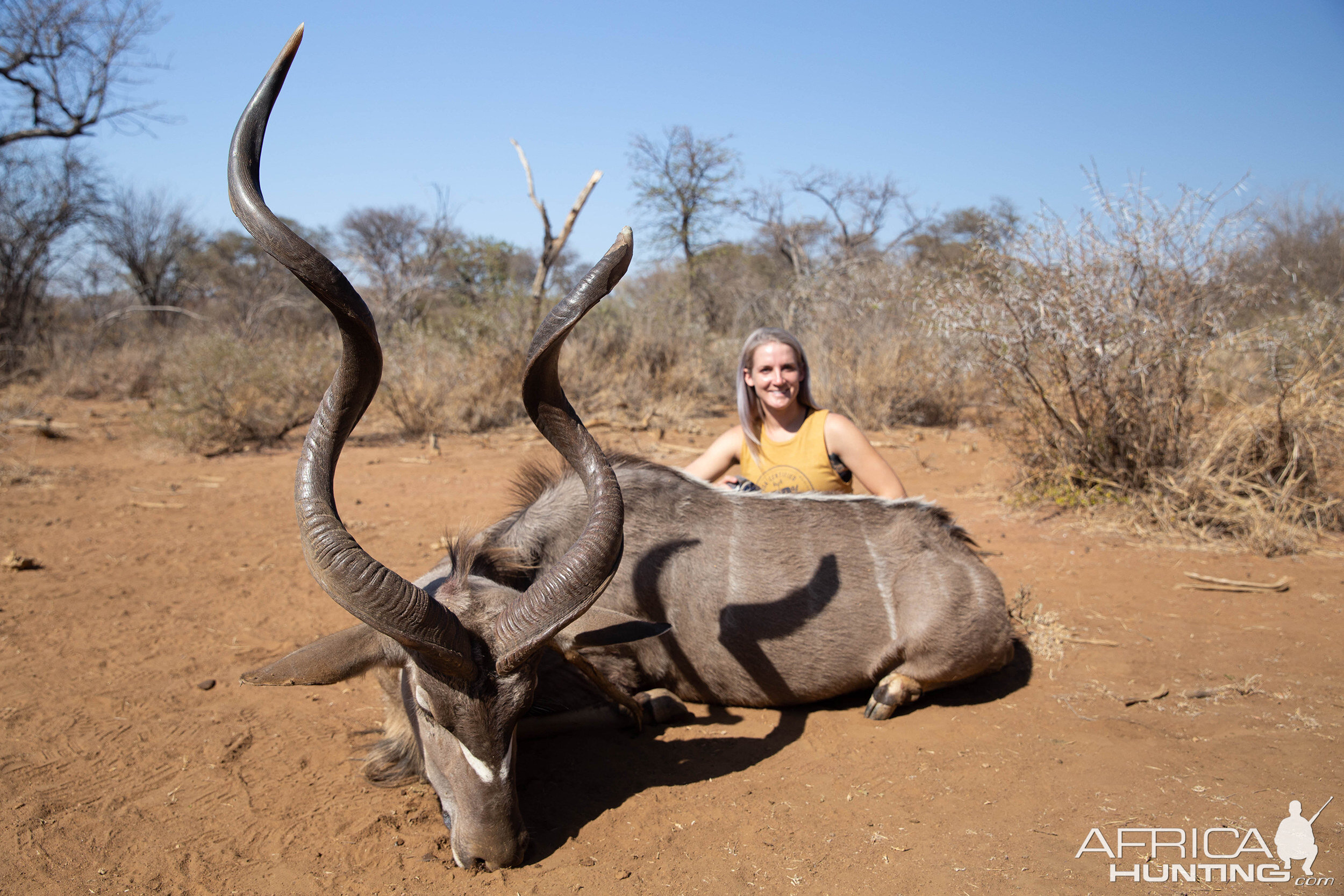 Kudu Hunt Namibia