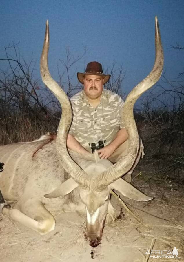 Kudu Hunt Namibia