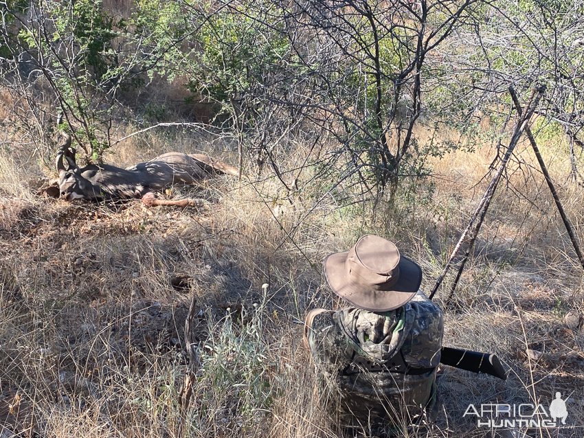 Kudu Hunt Namibia