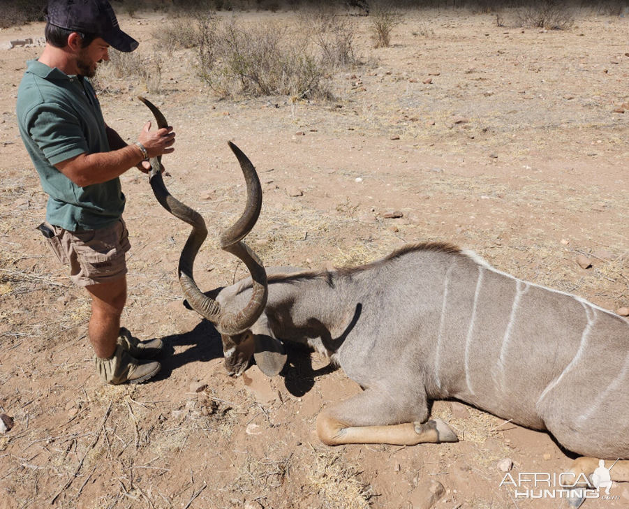 Kudu Hunt Namibia